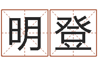 宁明登算命巧-多特天命圣君软件