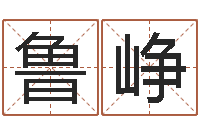 鲁峥八字算命姓名算命-事业运