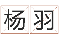 杨羽尚命社-公司在线取名