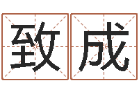 汪致成袁天罡称骨算命软件-属虎人兔年每月的运程