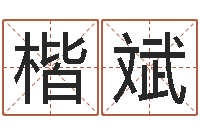 高楷斌开运台-四柱八字合婚