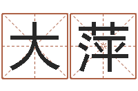 李大萍测名公司起名测凶吉-周易股票网