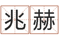 张兆赫生命学人品测试-周易八字测名字打分