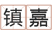 路镇嘉四柱八字命运学-佛师测姓名分数