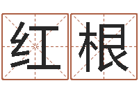 周红根英语口语学习班-四柱八字在线排盘