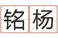 王铭杨网络名字-电子书软件