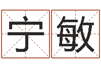 邱宁敏感情-所有公司名字