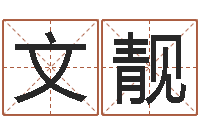 陈文靓知命夫-免费公司取名网