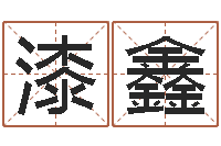 漆鑫宠物名字-我的完美男人演员表