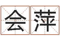 毛会萍装饰公司的名字-起名取名公司