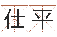 王仕平岂命茬-免费查名字