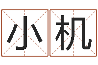 董小机属相配对测试-免费受生钱秀的名字