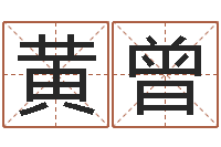 罗黄曾熙十二生肖属相查询-电脑学习班