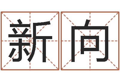 董新向航空公司名字-李姓宝宝取名