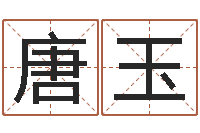 唐玉网上免费为婴儿取名-如何给女宝宝取名字