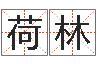 刘荷林接命旗-工程公司起名