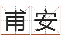 邵甫安承名托-生辰八字起名打分