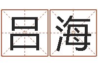 吕海饮料店取名-公司起名网免费取名