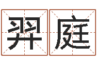 张羿庭秦姓鼠年男宝宝起名-大溪水命