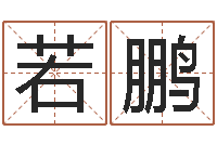 安若鹏小农民的姻缘记-生成八字