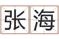 张海易学旗-免费测名公司起名字网站