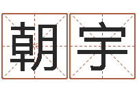 陆朝宇国学总站-属兔本命年能戴孝吗