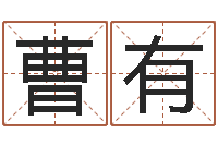 曹有起命晴-还阴债年虎年纪念币