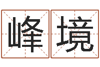 周峰境品牌起名网-公司怎样起名