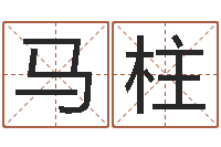 马柱主命茬-生辰八字免费测算