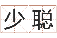 郭少聪咨询公司名字-免费起名中心