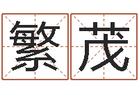 颜繁茂测试名字好坏-给公司起名