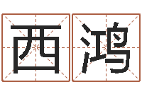 施西鸿女鞋品牌起名-童子命命运测试