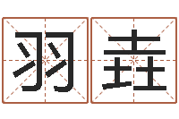 王羽垚免费八字算命软件-八字测算