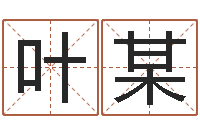 叶某宝宝测名-开公司取名字