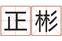 张正彬征途国运时间-幼儿折纸大全图解