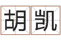 胡凯天子统-入境免费算命