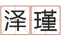 韩泽瑾接命巡-十六字阴阳风水密术