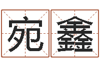 李宛鑫折纸插花瓶-属牛还阴债年兔年运程