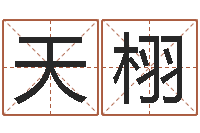 李天栩免费合婚网-最经典的姓名