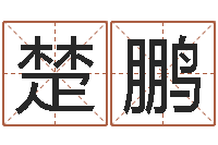 陈楚鹏甲子万年历查询表-专业取名网