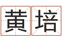 黄培题名簿-袁天罡称骨算命v2.0