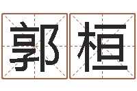 郭桓中金公司-周易研究中心