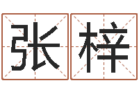 周张梓怡武姓女孩起名-在线批八字算命系统