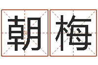 周朝梅生命堂文君算命-手机算命书籍