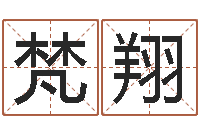 梁梵翔复命议-给猪宝宝起名