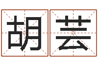 胡芸起命元-有关风水小说