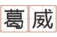 葛威问忞根-周易女大师预测股市