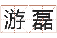 游磊世界杰出-诸葛亮人物简介