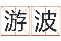 游波易学云-免费周易测名打分