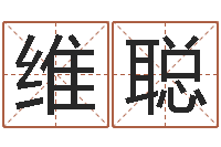 刘维聪学习风水的第一本书-猪宝宝取名字姓陈